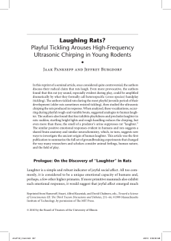Laughing Rats? - American Journal of Play