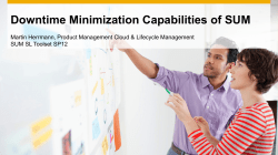 Near Zero Downtime Management nZDM / SUM