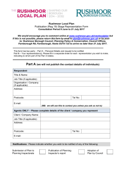 representation form 2017