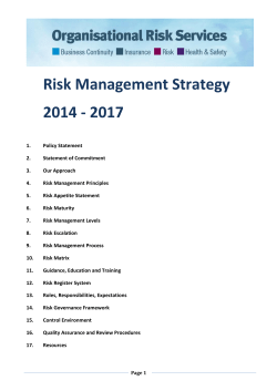 Risk Management Strategy 2014 - 2017