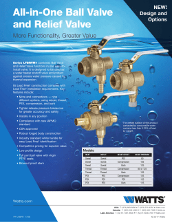 All-in-One Ball Valve and Relief Valve