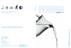 This report outlines the strategy we will adopt for the next 25 years to