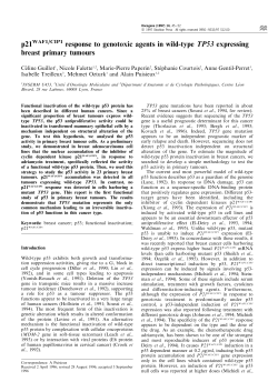 p21WAF1/CIP1 response to genotoxic agents in wild-type