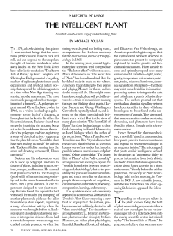 BW THE iNTELLigENT pLANT