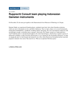 Rupprecht Consult team playing Indonesian Gamelan instruments