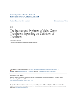 The Practice and Evolution of Video Game Translation: Expanding