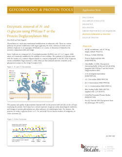 Enzymatic removal of N- and O-glycans using PNGase F or