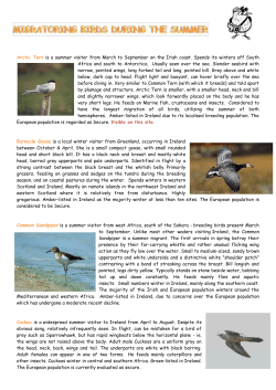 migratoring birds during the summer