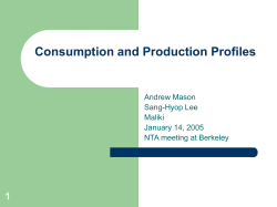 Individual Consumption and Production Profiles: What Do We Know?