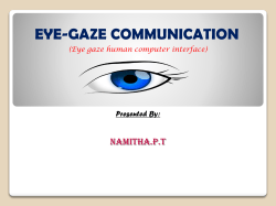 Eye Gaze System