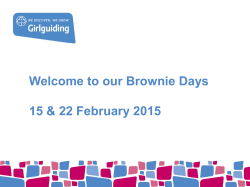 Brownie Workshop Introduction PowerPoint Presentation