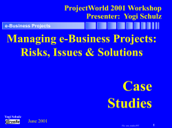 Managing e-Business Projects