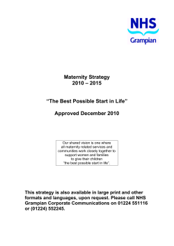 Maternity Strategy 2010 &ndash; 2015 &ldquo;The Best Possible Start in Life