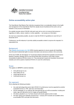 Online accessibility action plan