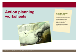 Action planning worksheets
