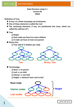 Binary Tree