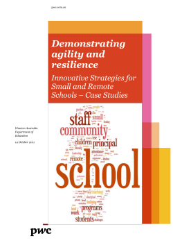 DOCX file of Innovative Strategies for Small Remote