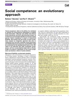 Social competence: an evolutionary approach