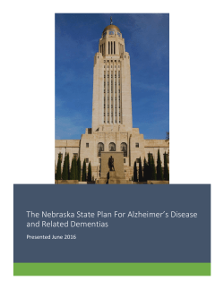 The Nebraska State Plan For Alzheimer`s Disease and Related
