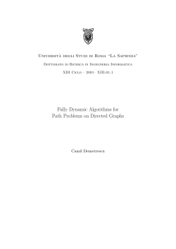 Fully Dynamic Algorithms for Path Problems on Directed Graphs