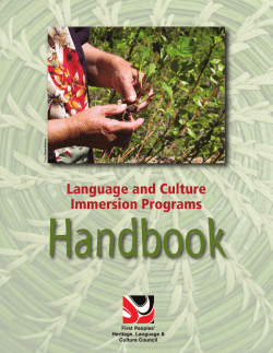 Language and Culture Immersion Programs Handbook