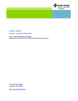 2013 – 2015 Implementation Strategy