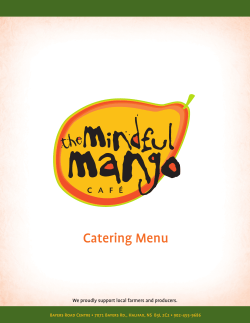 Catering Menu - The Mindful Mango