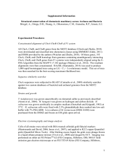 Structural conservation of chemotaxis machinery across Archaea