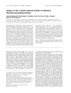 Analysis of the in planta antiviral activity of elderberry ribosome