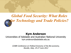 The role of subsidies in agricultural trade reform