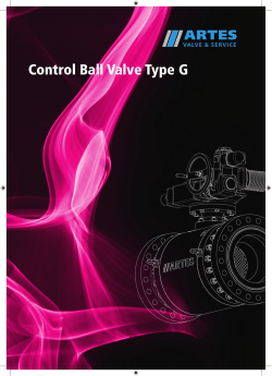 Control Ball Valve Type G