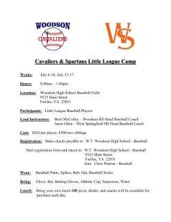 Dominion Baseball Academy - West Springfield High School