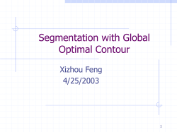 Segmentation with Global Optimal Contour