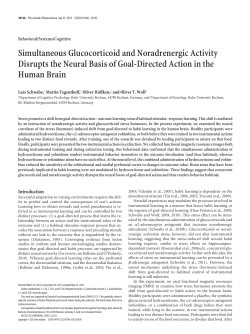 Simultaneous Glucocorticoid and Noradrenergic Activity Disrupts the