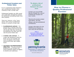 How to Choose a Quality Professional Forester