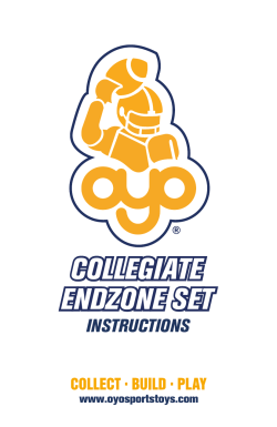 collegiate endzone set