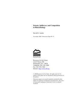 Patents, Spillovers, and Competition in