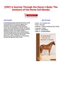 A Journey Through the Horse s Body