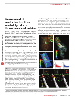 measurement of mechanical tractions exerted by cells in