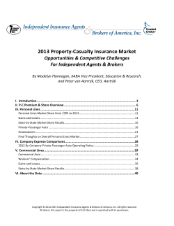 2013 Property-Casualty Insurance Market