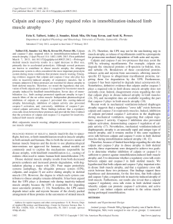 Calpain and caspase-3 play required roles in immobilization