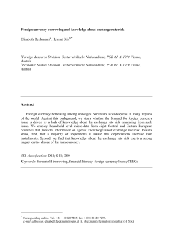 Foreign currency borrowing and knowledge about exchange rate risk