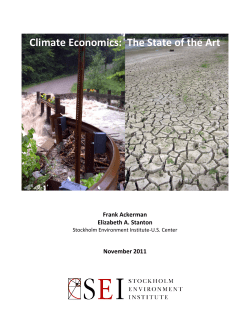 Climate Economics: The State of the Art