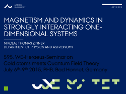 Magnetism and dynamics in strongly interacting one