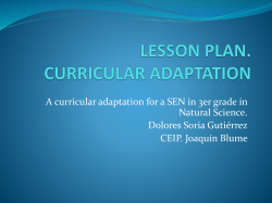 LESSON PLAN. CURRICULAR ADAPTATION