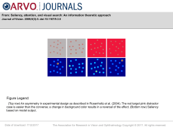 Slide - Journal of Vision