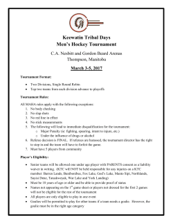 Hockey Rules 2017 - Keewatin Tribal Council