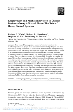 Employment and Market Innovation in Chinese Business Group