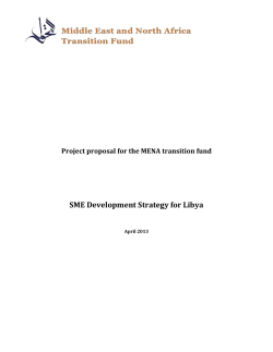 SME Strategy Development Proposal