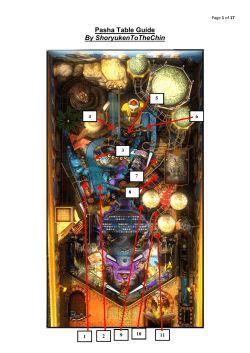 Pasha Table Guide By ShoryukenToTheChin